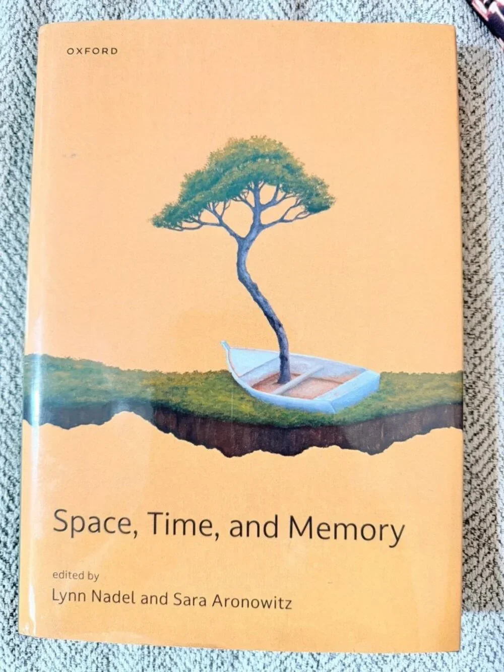 Space Time and Memory by Sara Aronowitz (2025, Hardcover)